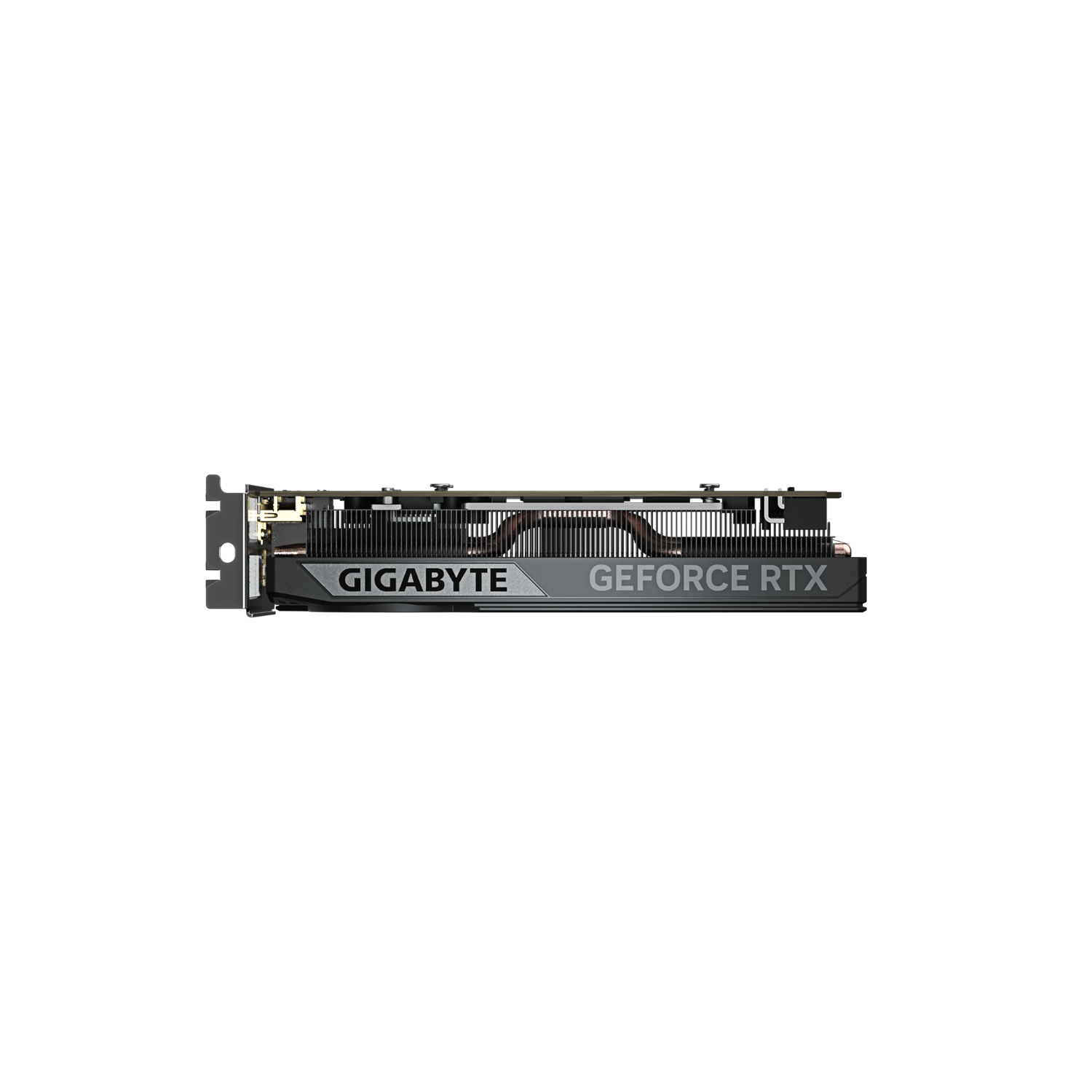 כרטיס מסך Gigabyte GeForce RTX 5050 8GB OC Low profile